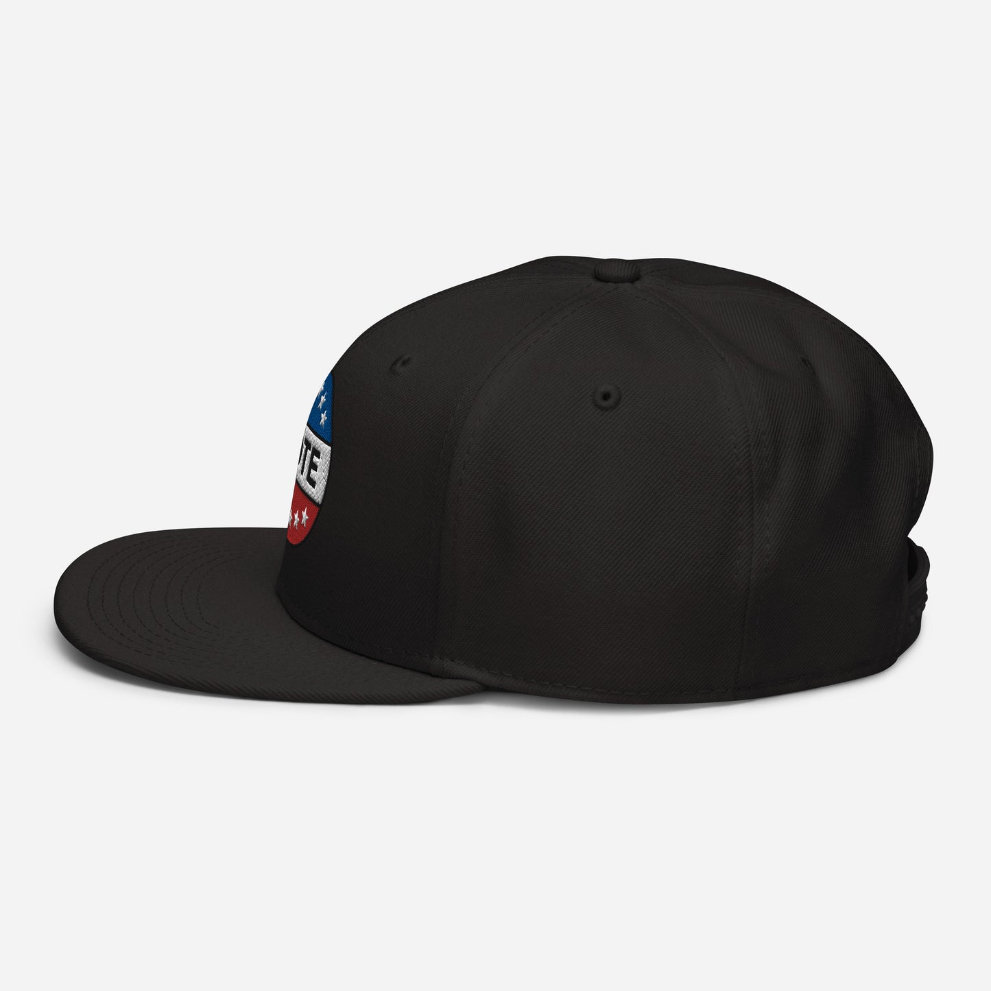 Vote Snapback Hat